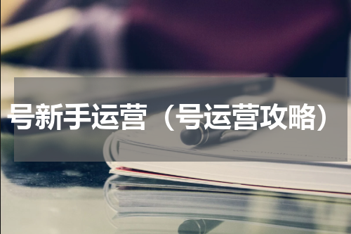 号新手运营（号运营攻略）
