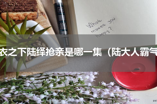 锦衣之下陆绎抢亲是哪一集（陆大人霸气）