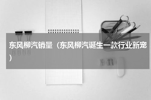 东风柳汽销量（东风柳汽诞生一款行业新宠）
