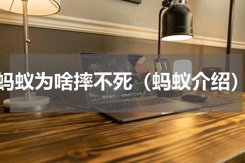 蚂蚁为啥摔不死（蚂蚁介绍）