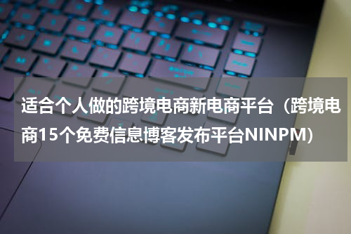适合个人做的跨境电商新电商平台（跨境电商15个免费信息博客发布平台NINPM）