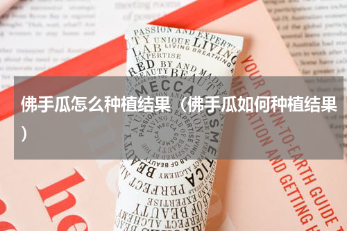 佛手瓜怎么种植结果（佛手瓜如何种植结果）