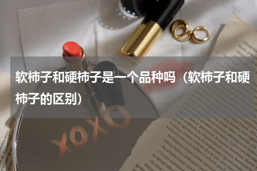 软柿子和硬柿子是一个品种吗（软柿子和硬柿子的区别）