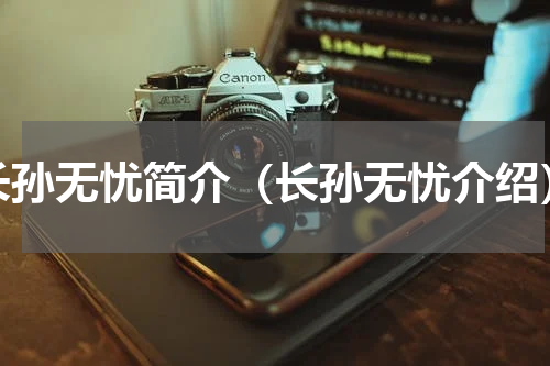 长孙无忧简介（长孙无忧介绍）