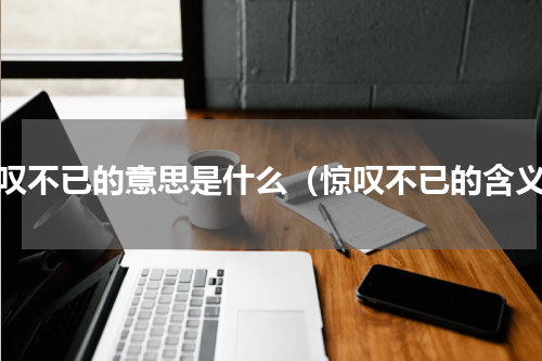惊叹不已的意思是什么（惊叹不已的含义）