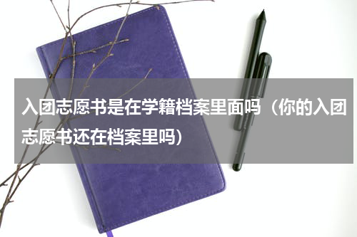 入团志愿书是在学籍档案里面吗（你的入团志愿书还在档案里吗）