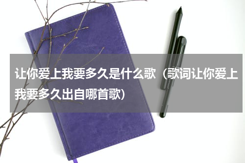 让你爱上我要多久是什么歌（歌词让你爱上我要多久出自哪首歌）