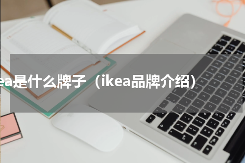 ikea是什么牌子（ikea品牌介绍）