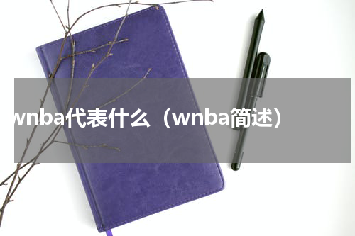 wnba代表什么（wnba简述）