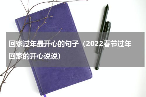 回家过年最开心的句子（2022春节过年回家的开心说说）