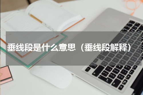 垂线段是什么意思（垂线段解释）