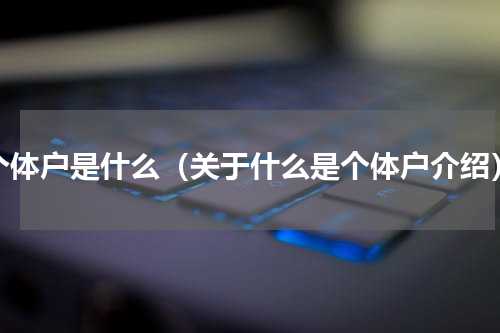 个体户是什么（关于什么是个体户介绍）