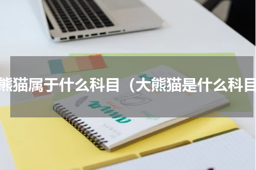 大熊猫属于什么科目（大熊猫是什么科目）