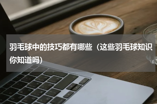 羽毛球中的技巧都有哪些（这些羽毛球知识你知道吗）
