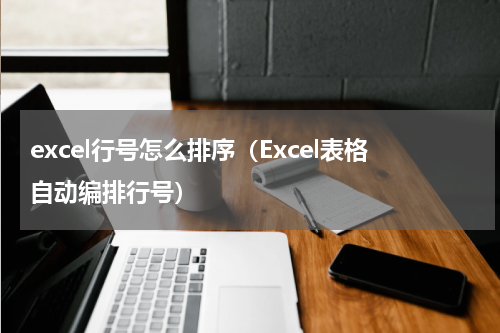 excel行号怎么排序（Excel表格自动编排行号）