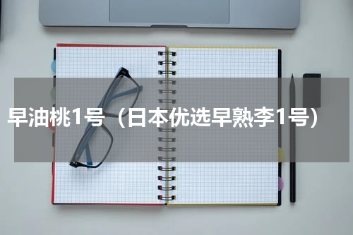早油桃1号（日本优选早熟李1号）