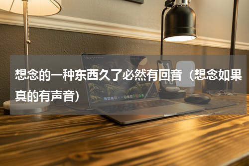 想念的一种东西久了必然有回音（想念如果真的有声音）
