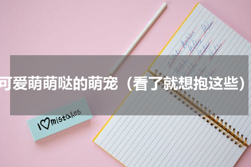 可爱萌萌哒的萌宠（看了就想抱这些）