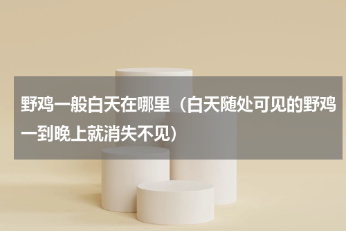 野鸡一般白天在哪里（白天随处可见的野鸡一到晚上就消失不见）