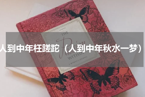 人到中年枉蹉跎（人到中年秋水一梦）