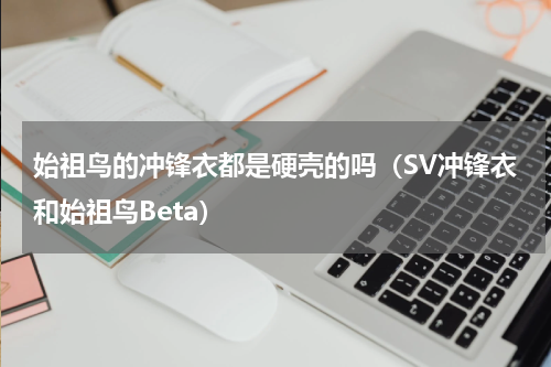 始祖鸟的冲锋衣都是硬壳的吗（SV冲锋衣和始祖鸟Beta）