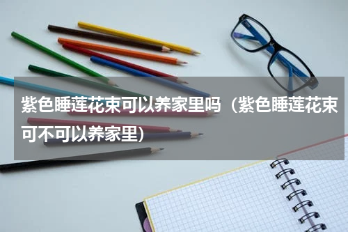 紫色睡莲花束可以养家里吗（紫色睡莲花束可不可以养家里）