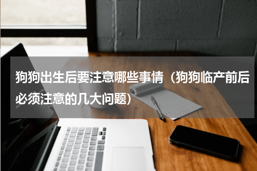 狗狗出生后要注意哪些事情（狗狗临产前后必须注意的几大问题）