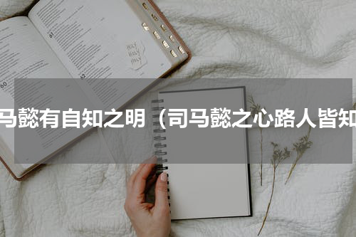 司马懿有自知之明（司马懿之心路人皆知）