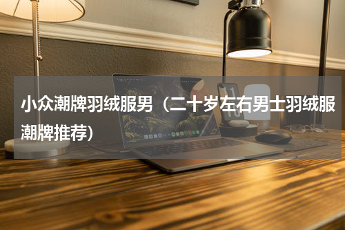 小众潮牌羽绒服男（二十岁左右男士羽绒服潮牌推荐）