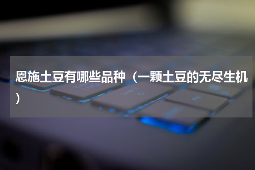 恩施土豆有哪些品种（一颗土豆的无尽生机）