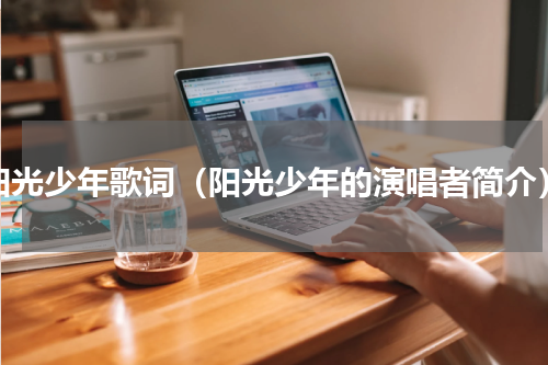 阳光少年歌词（阳光少年的演唱者简介）