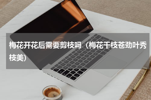 梅花开花后需要剪枝吗（梅花干枝苍劲叶秀枝美）