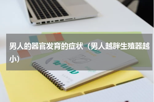 男人的器官发育的症状（男人越胖生殖器越小）