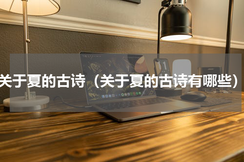关于夏的古诗（关于夏的古诗有哪些）