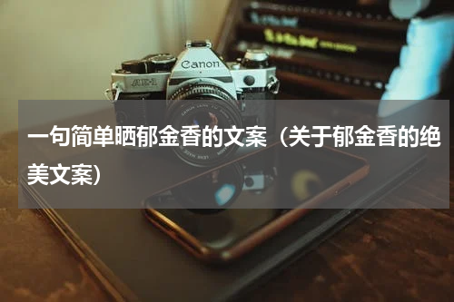 一句简单晒郁金香的文案（关于郁金香的绝美文案）