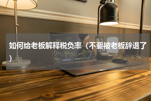 如何给老板解释税负率（不要被老板辞退了）
