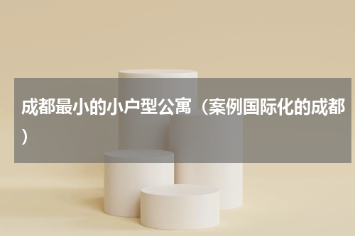 成都最小的小户型公寓（案例国际化的成都）