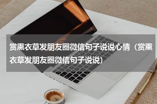 赏熏衣草发朋友圈微信句子说说心情（赏熏衣草发朋友圈微信句子说说）