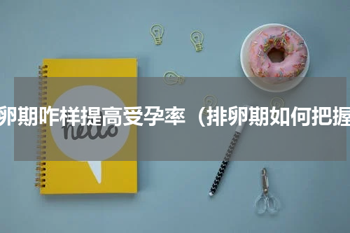 排卵期咋样提高受孕率（排卵期如何把握）