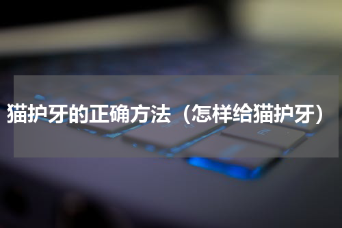 猫护牙的正确方法（怎样给猫护牙）