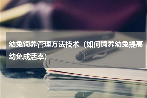 幼兔饲养管理方法技术（如何饲养幼兔提高幼兔成活率）