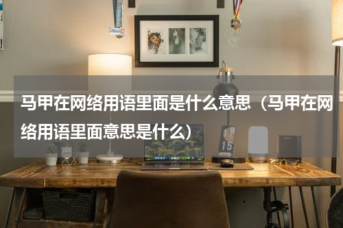 马甲在网络用语里面是什么意思（马甲在网络用语里面意思是什么）