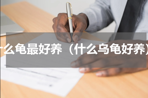 什么龟最好养（什么乌龟好养）