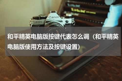 和平精英电脑版按键代表怎么调（和平精英电脑版使用方法及按键设置）