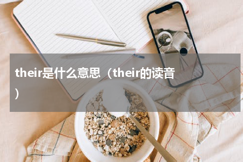 their是什么意思（their的读音）