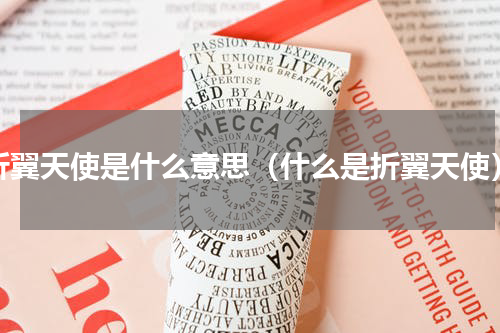 折翼天使是什么意思（什么是折翼天使）