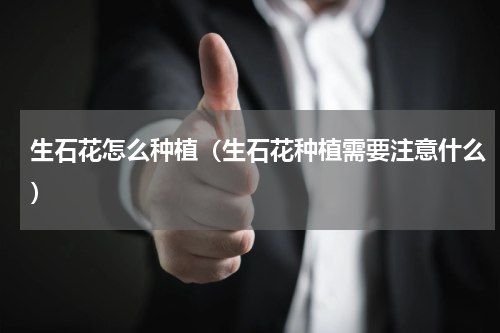 生石花怎么种植（生石花种植需要注意什么）