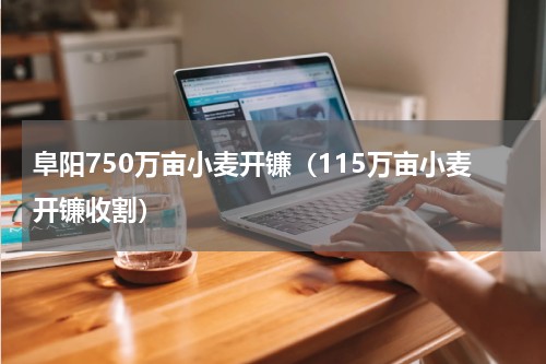 阜阳750万亩小麦开镰（115万亩小麦开镰收割）