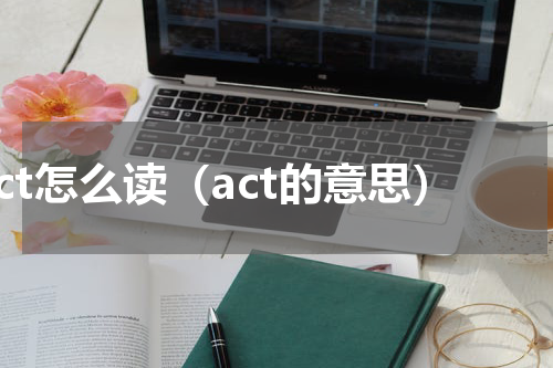 act怎么读（act的意思）