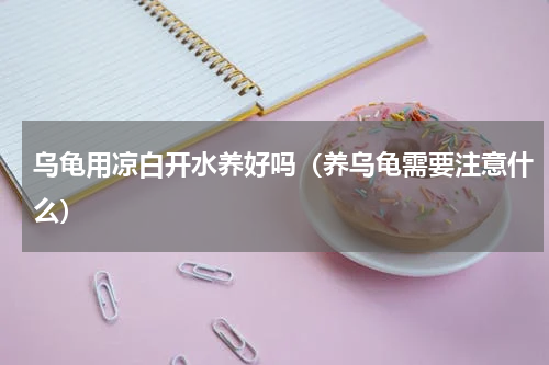 乌龟用凉白开水养好吗（养乌龟需要注意什么）